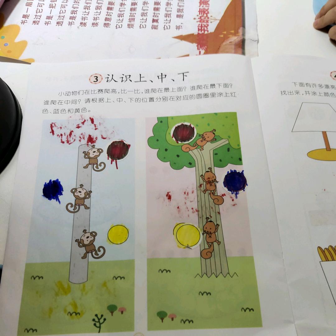兰姐