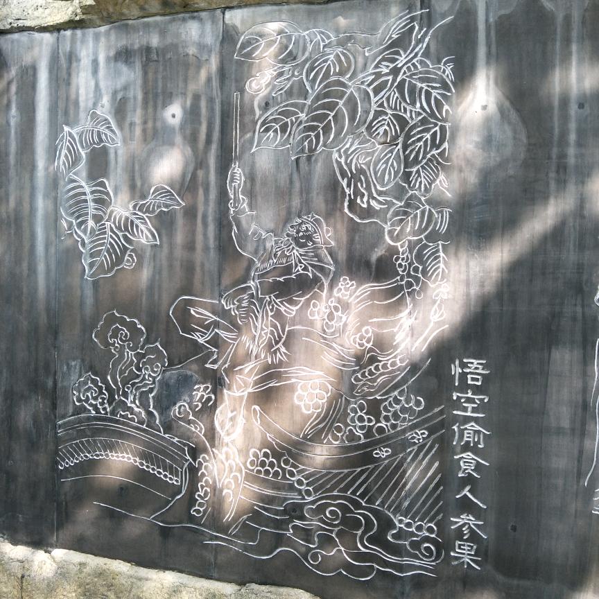 鸟枪