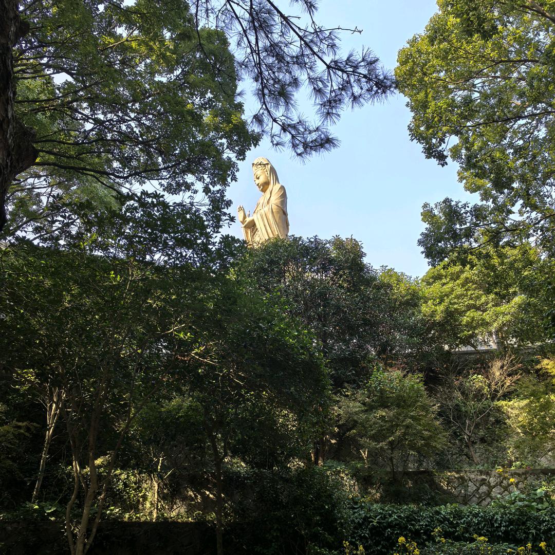 爱分享的大燕子