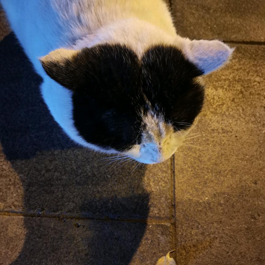 梦幻好物小铺9iW