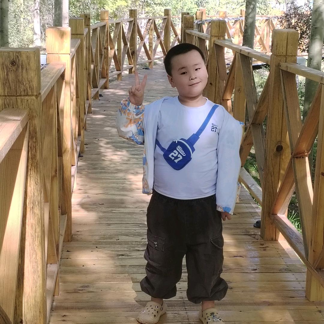 青海李总