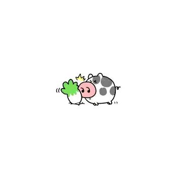 白菜.