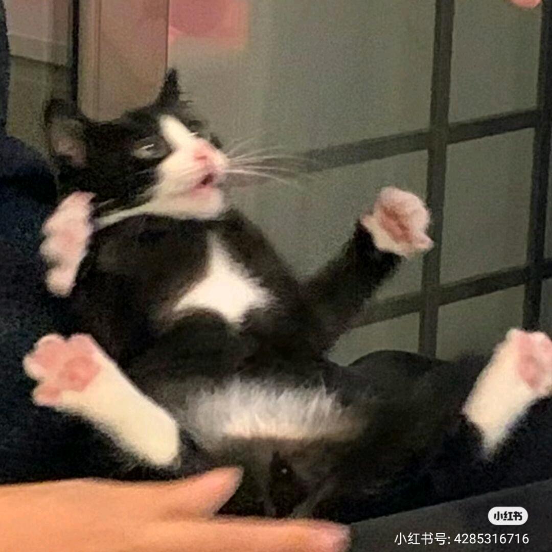 有点烦