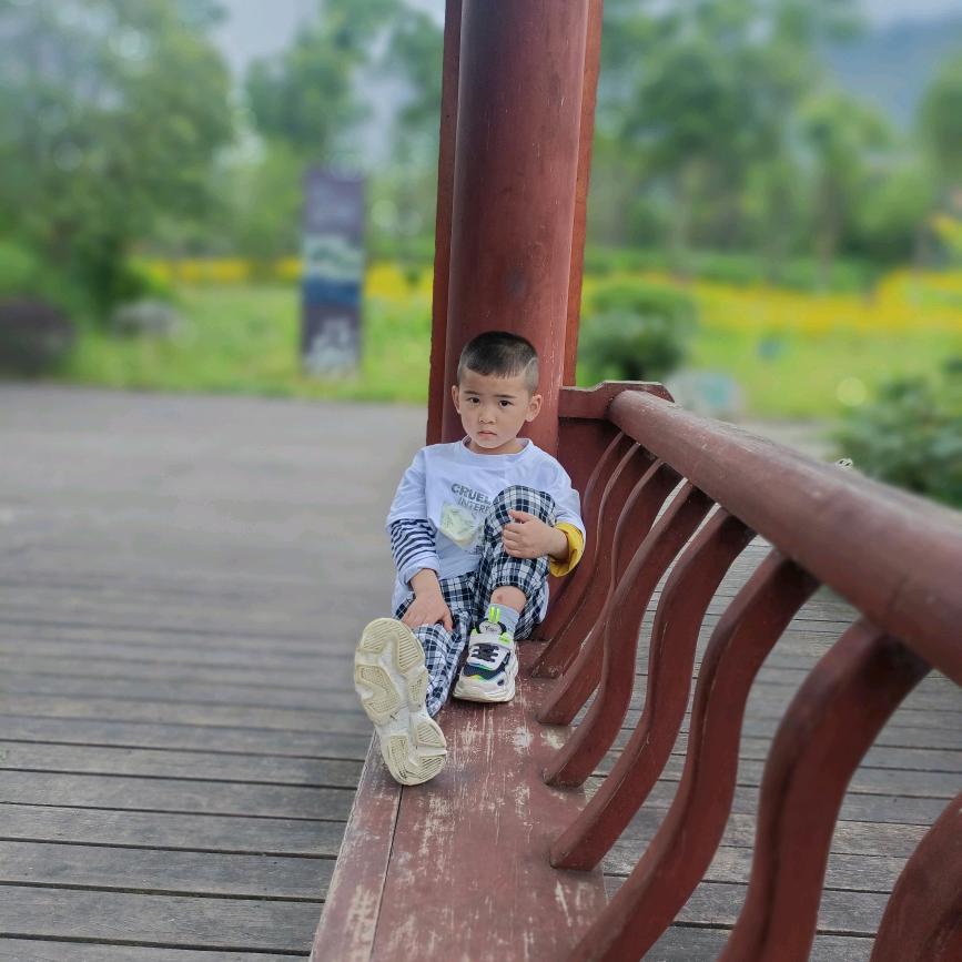 顺李陈章