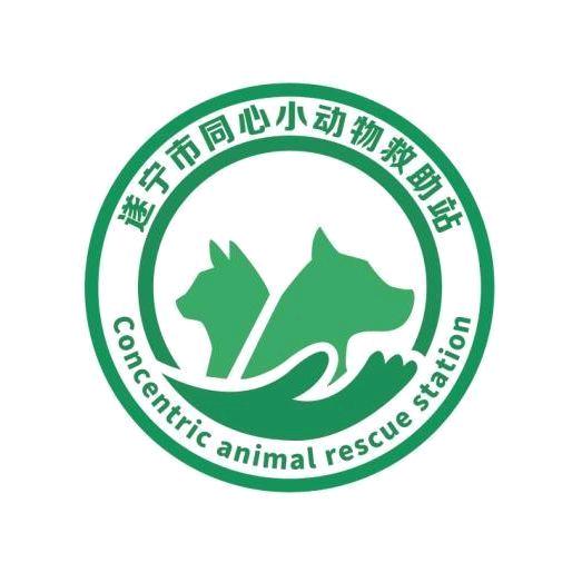阿涛『爱心公益』（Mc九涵）