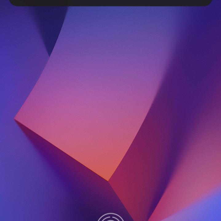 展翅飞翔