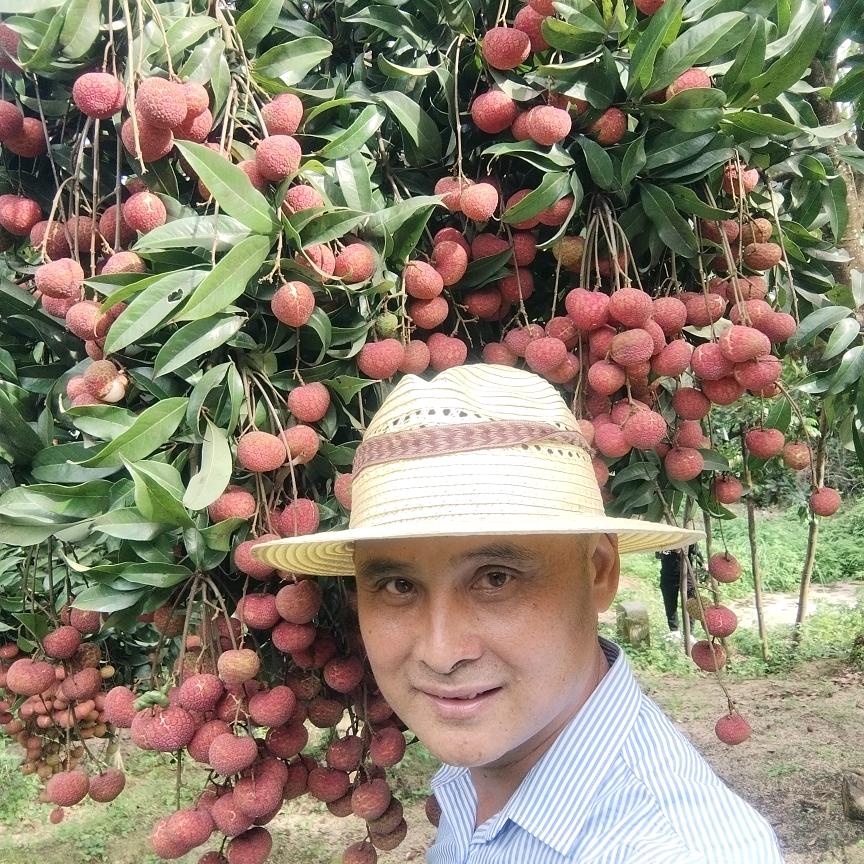 小雄：（果园养鸡）