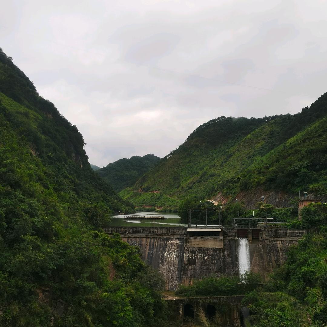 小沈同学