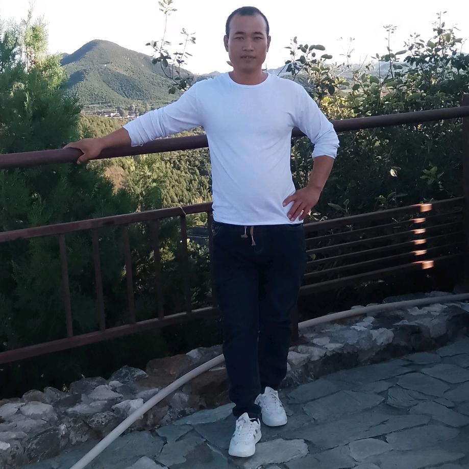 蠡县刘新亮农产品～榆林紫药种植