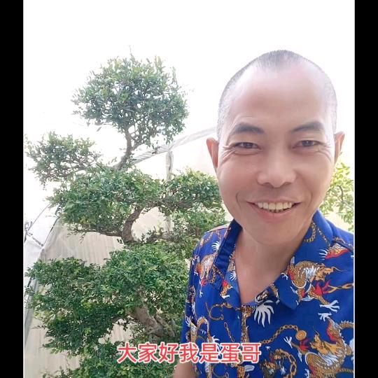 长葛马广志