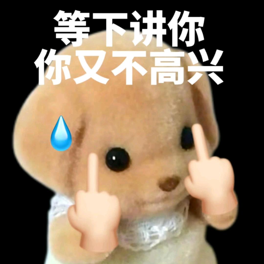 海龟气质