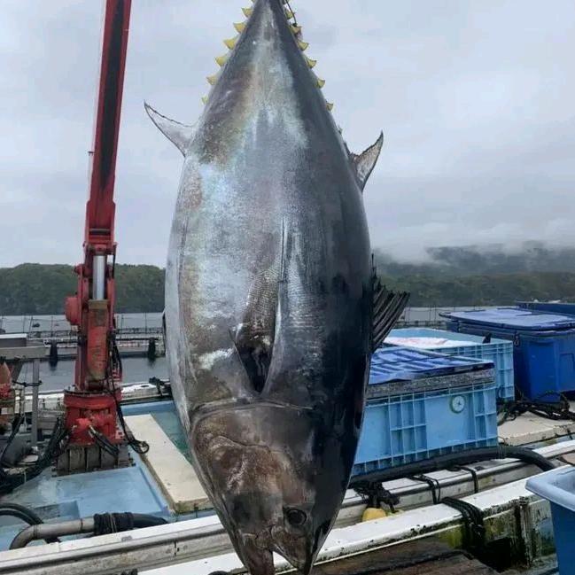 台州吴哥海鲜台州吴哥海鲜