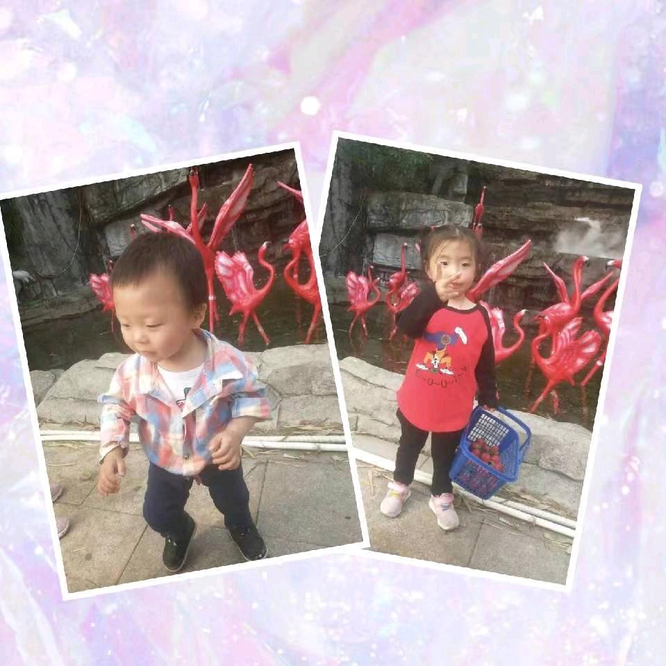 ，友谊地久天长、-J