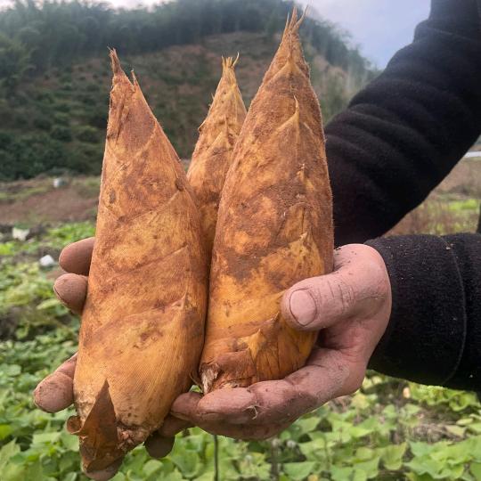 赤水二娃农产品