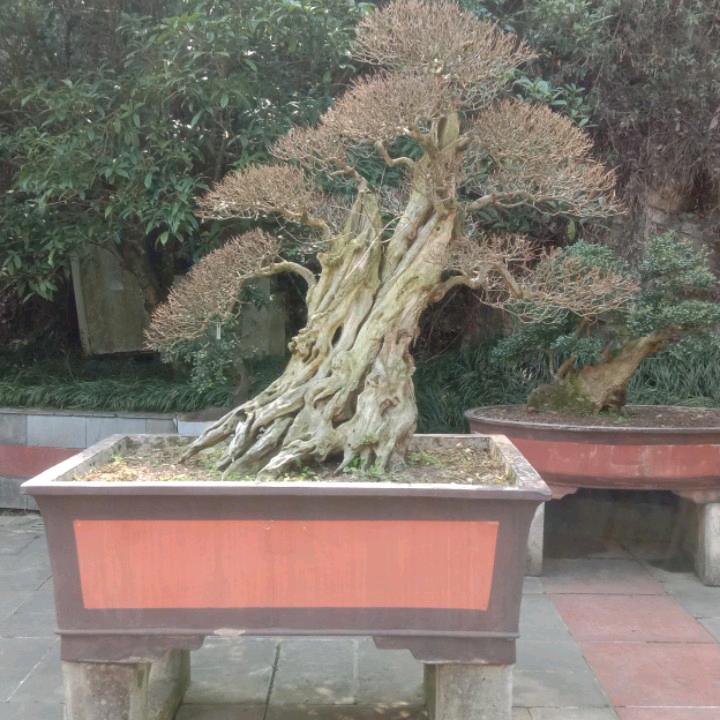 居家装饰