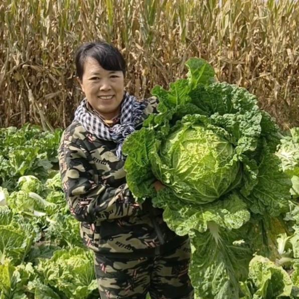 农村吴姐日常生活