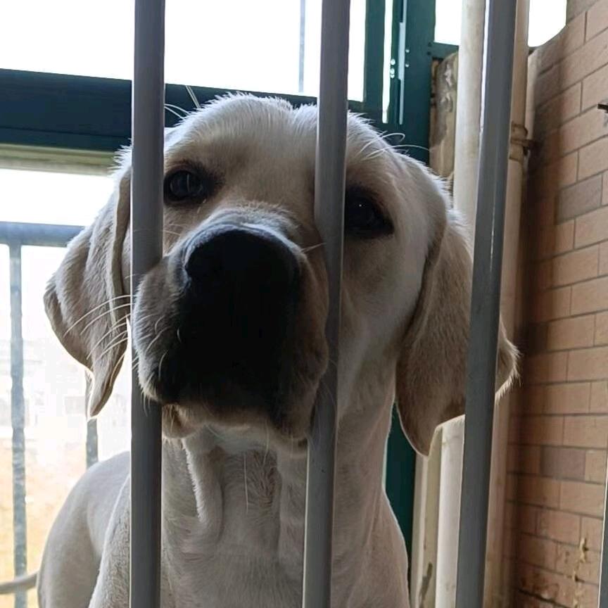 坦克世界  龙大爷