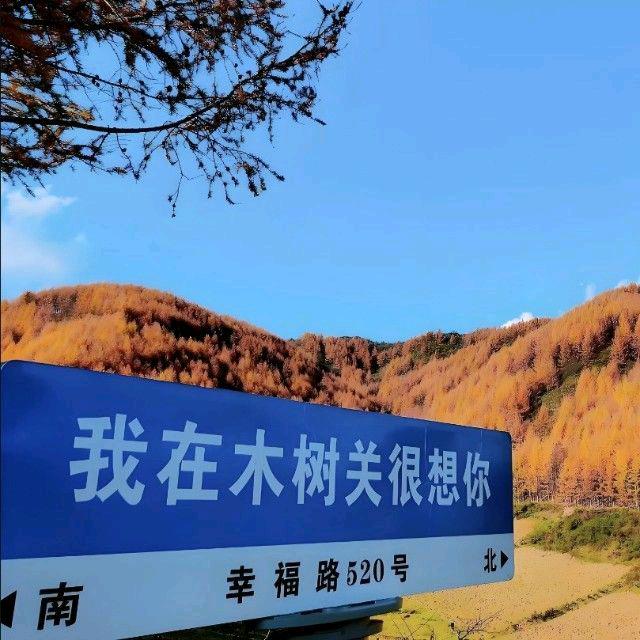 礼县木树关祥泰旅游服务