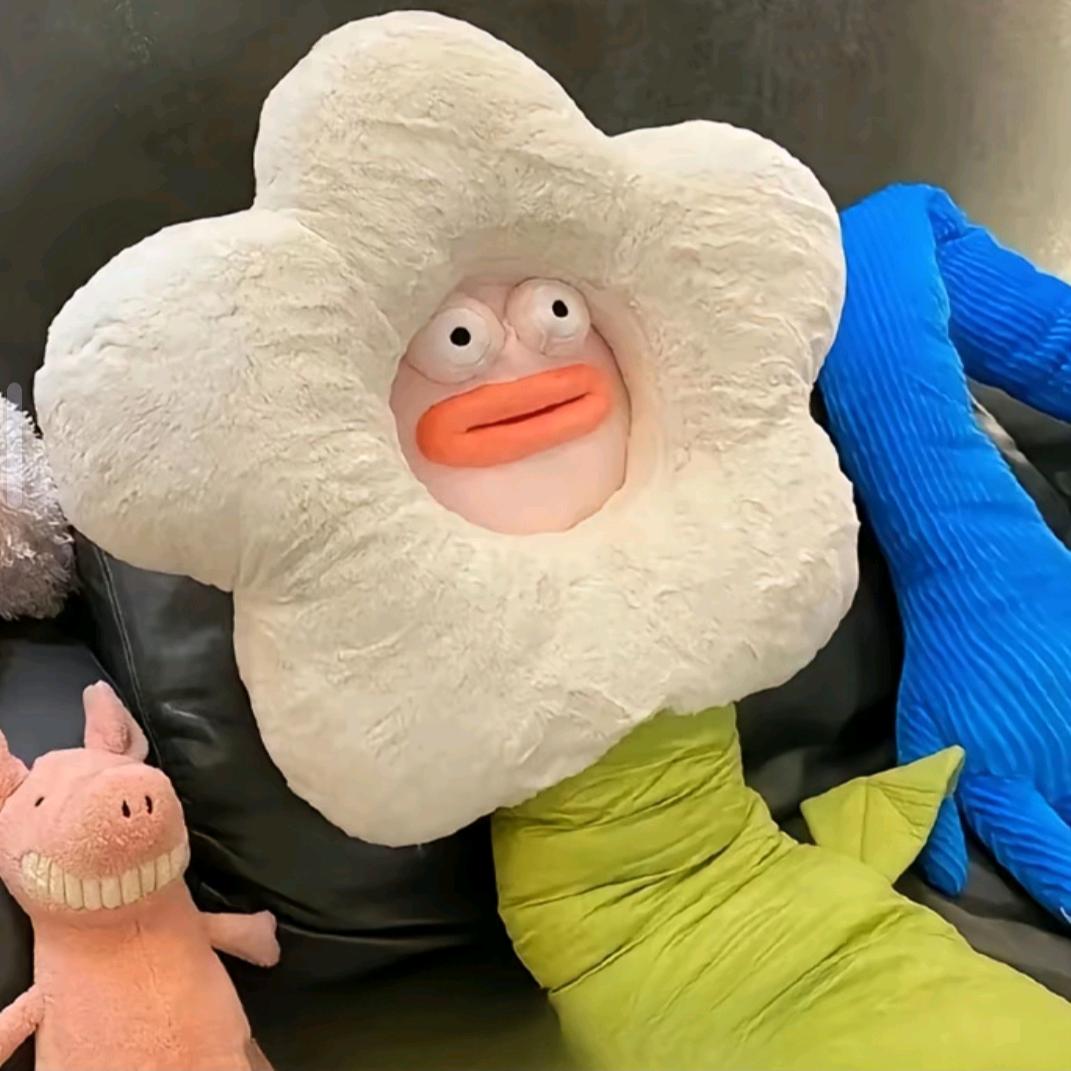 芷安☁