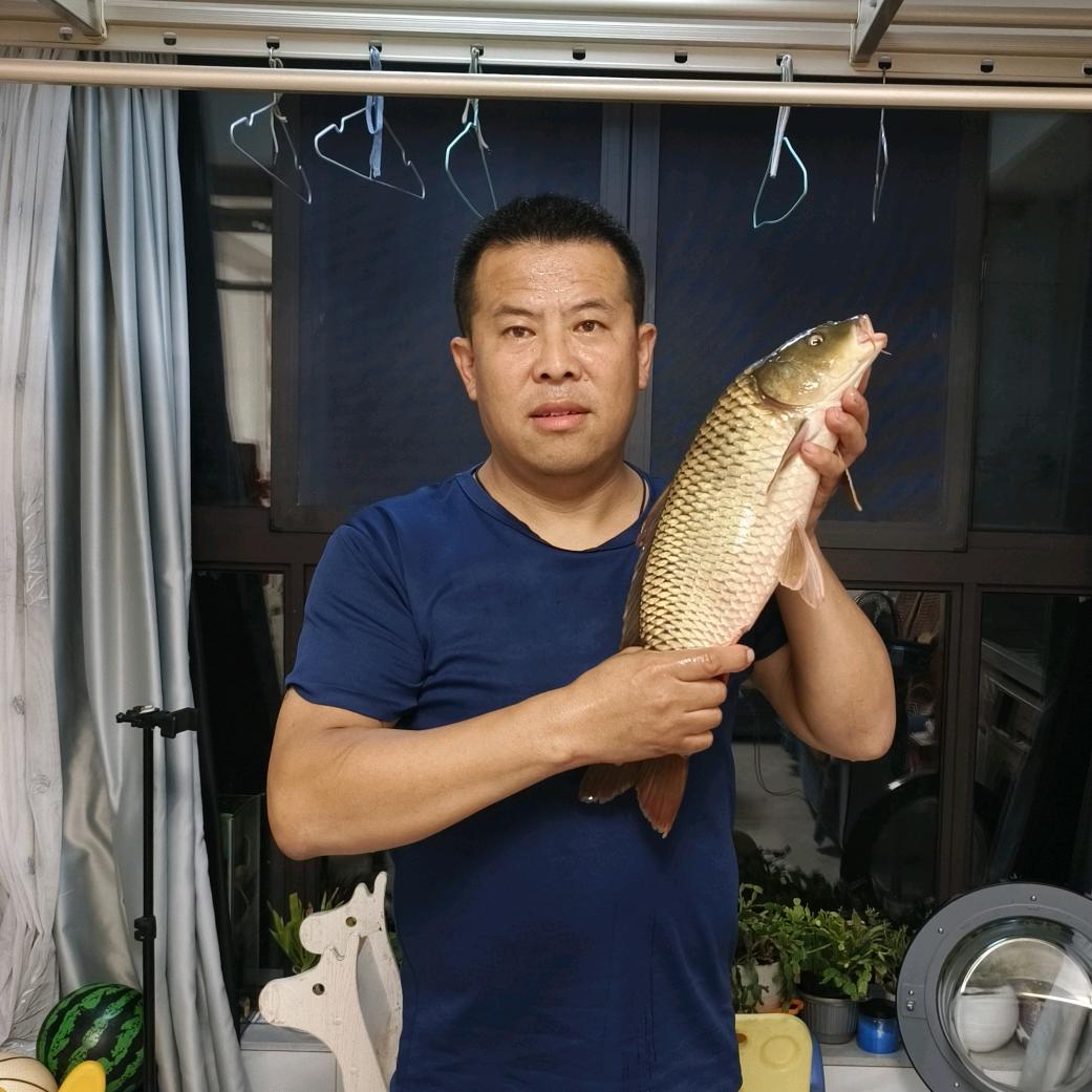 万般皆是命，半点不由人