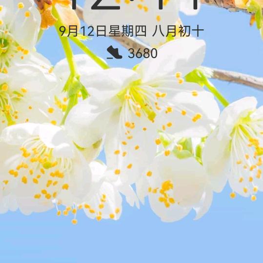 彬彬有礼