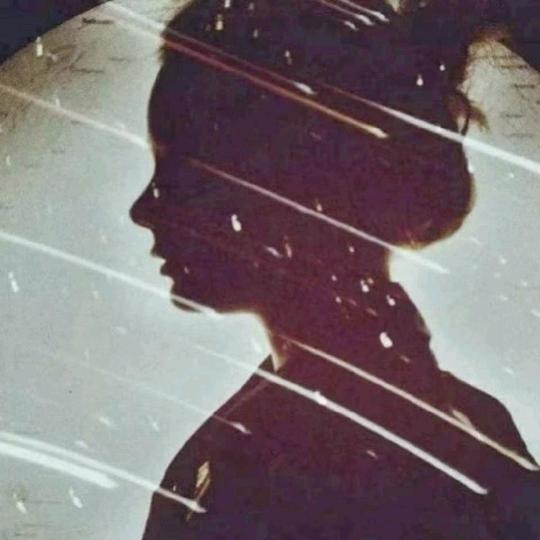 欣欣向荣小七