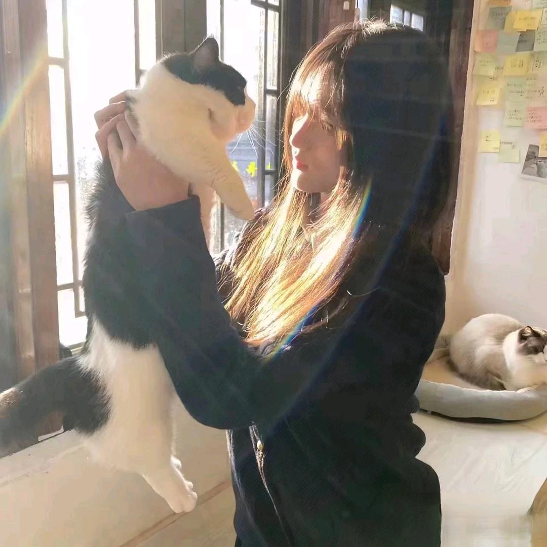 小艺磨牙🐾