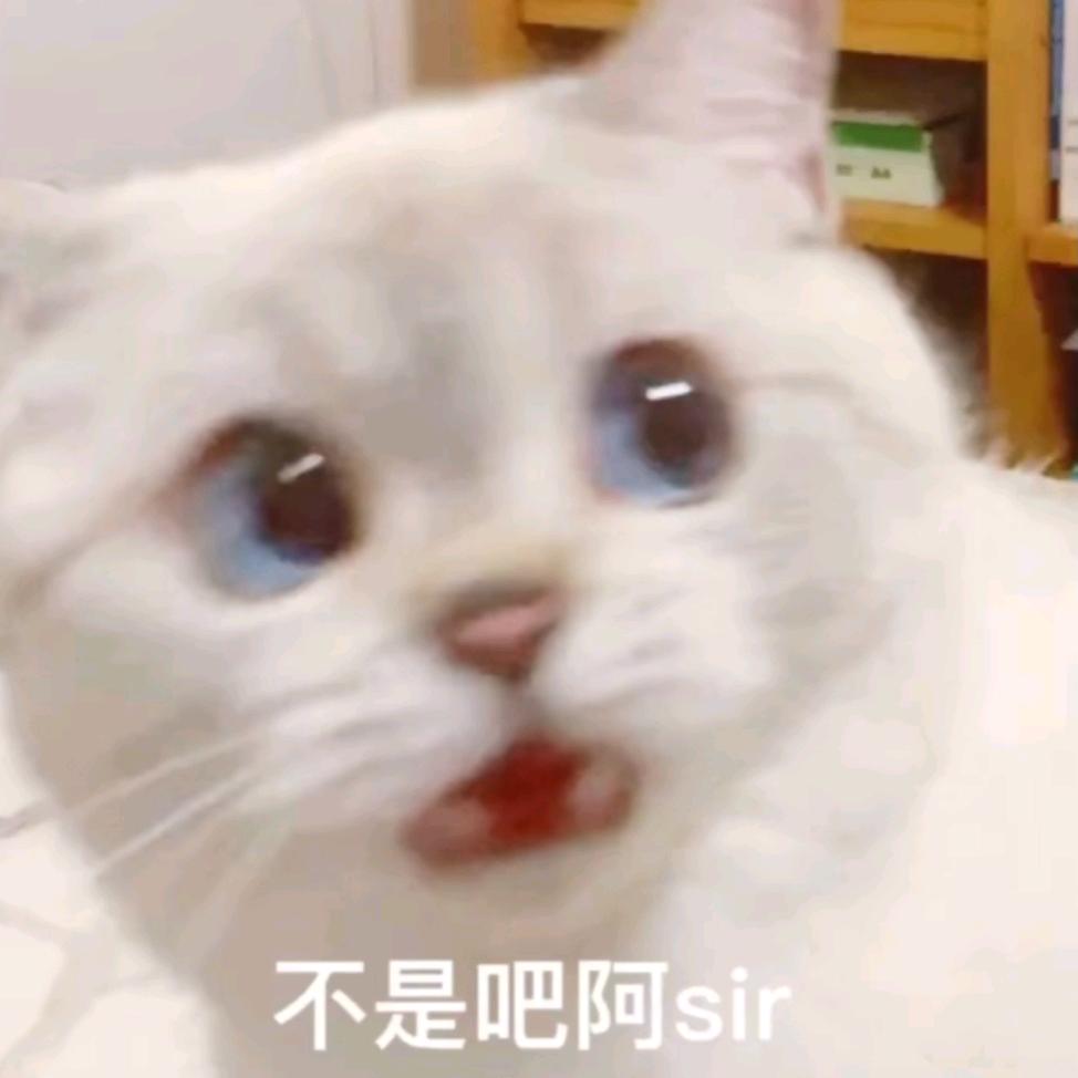 土豆发了芽