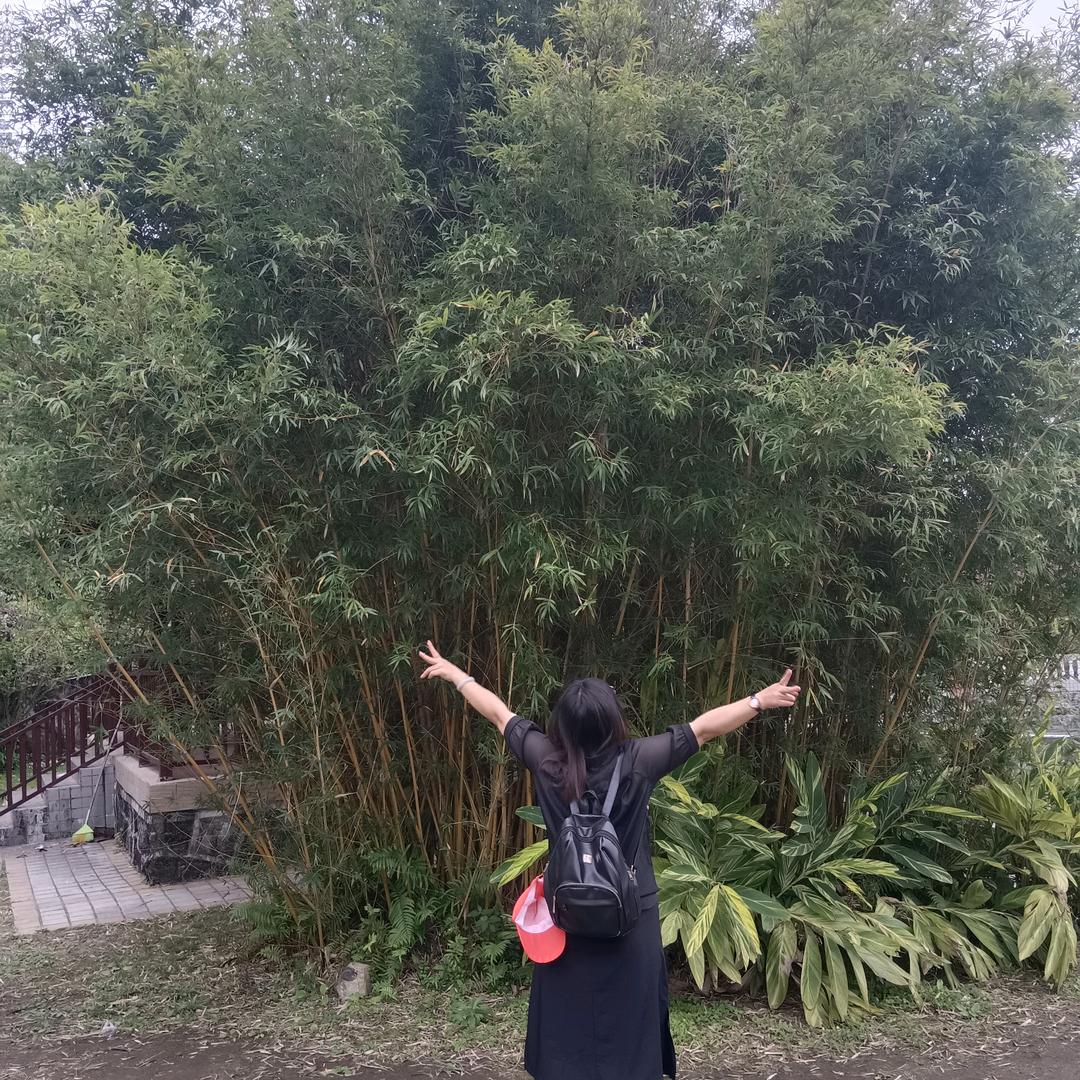 婵姐姐