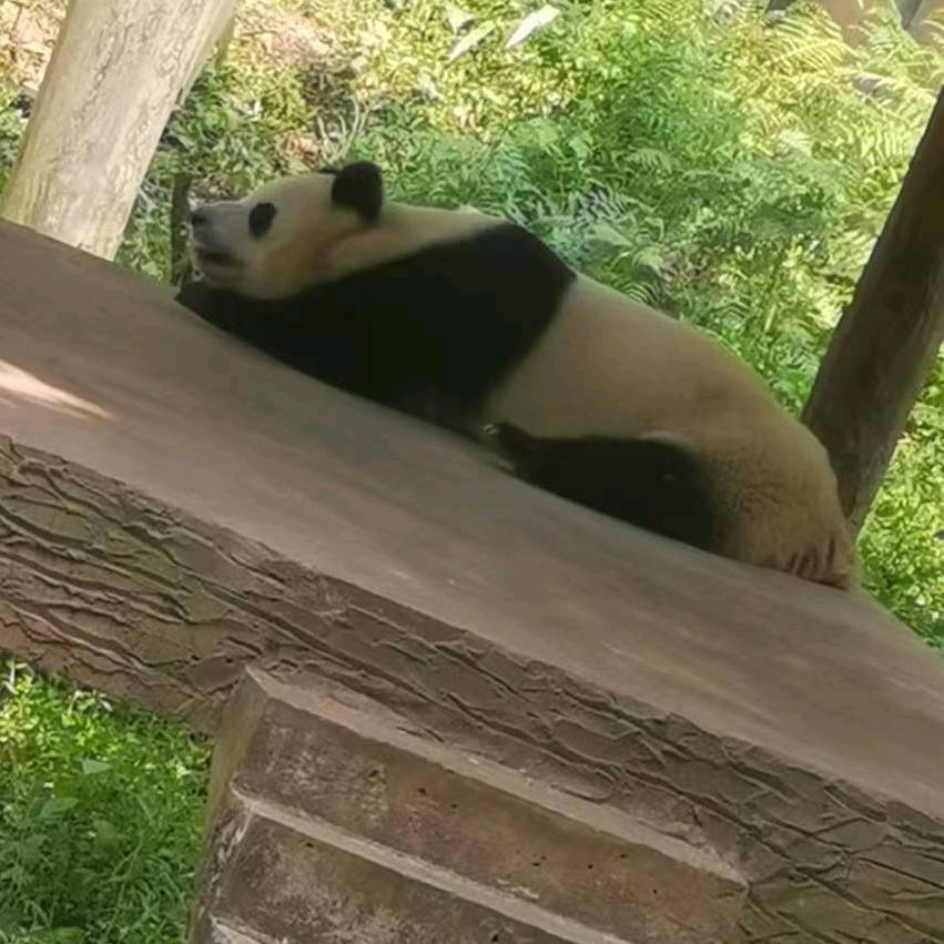 缺钱花