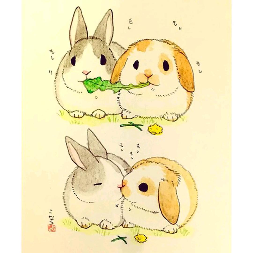 延边导氮公考