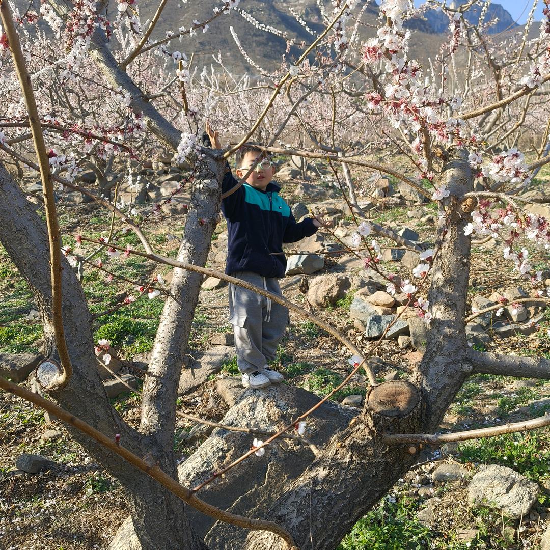 中荷云星肉牛羊饲料