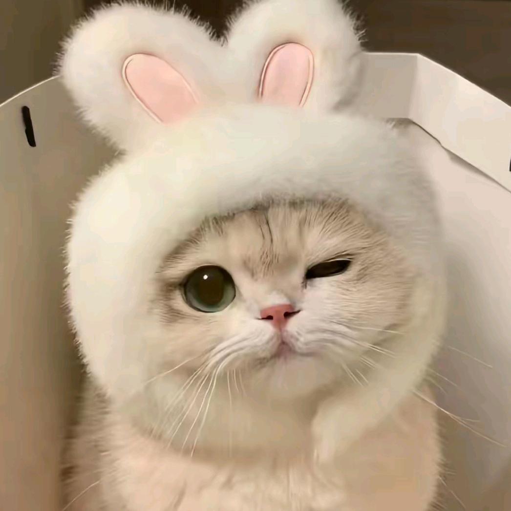 @এ🚬敬余生🍶དྷ༗࿐💐