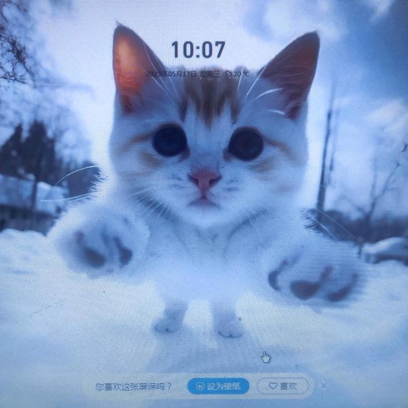 家有两个小可爱