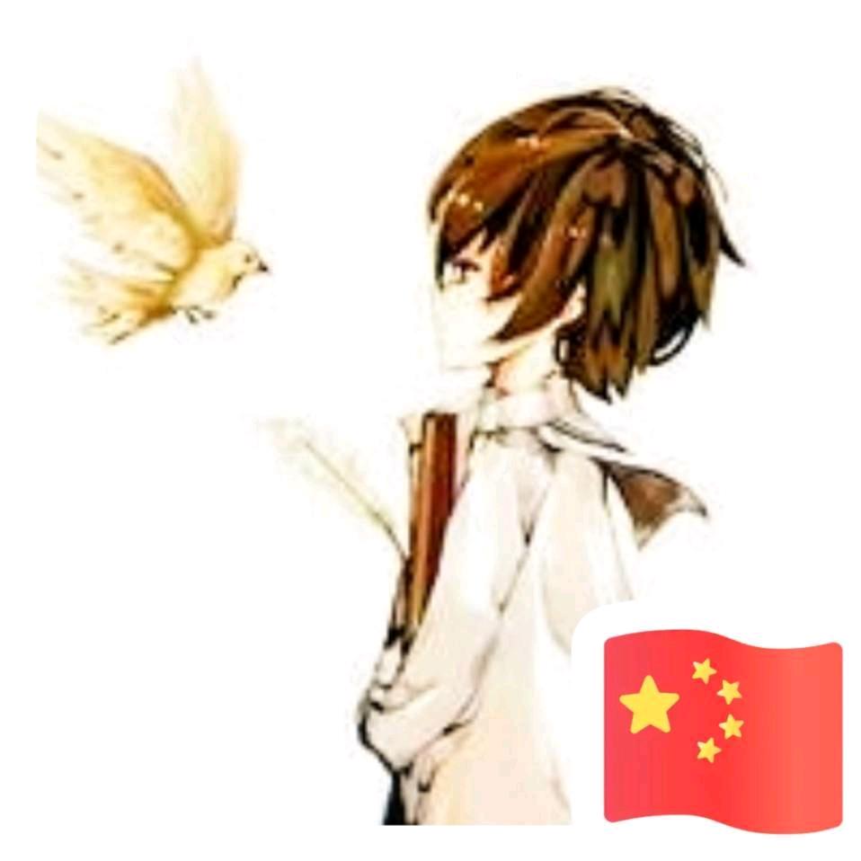 阿呆。