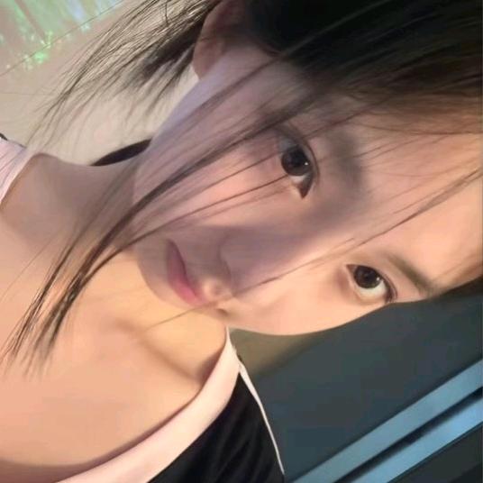 枫竹