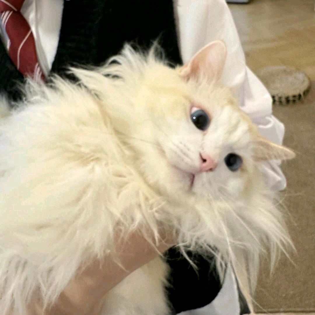 祁澜之