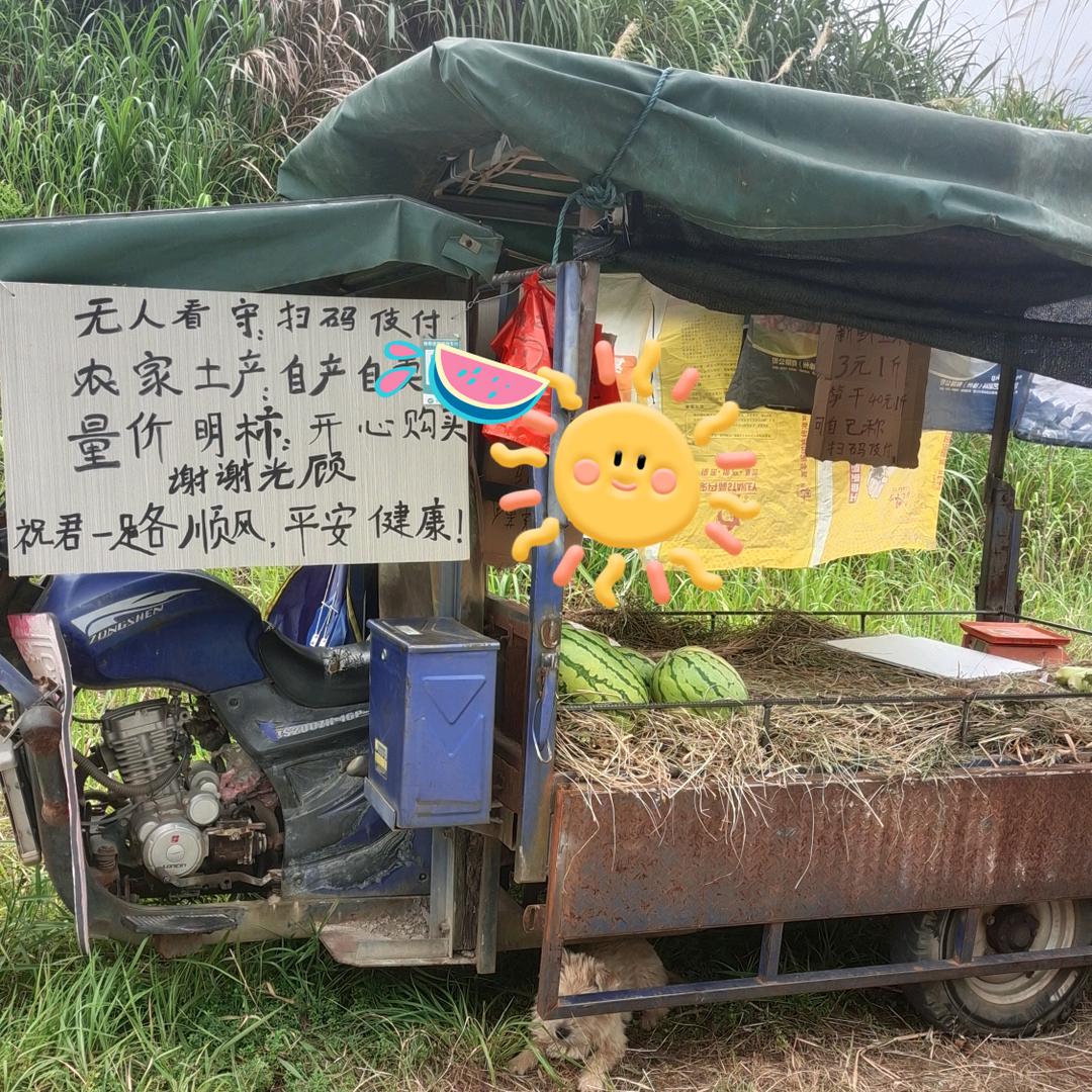 琳好3¹⁶⁸