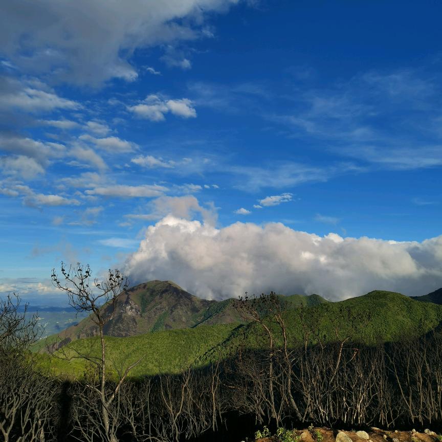 文山东辰好物严选