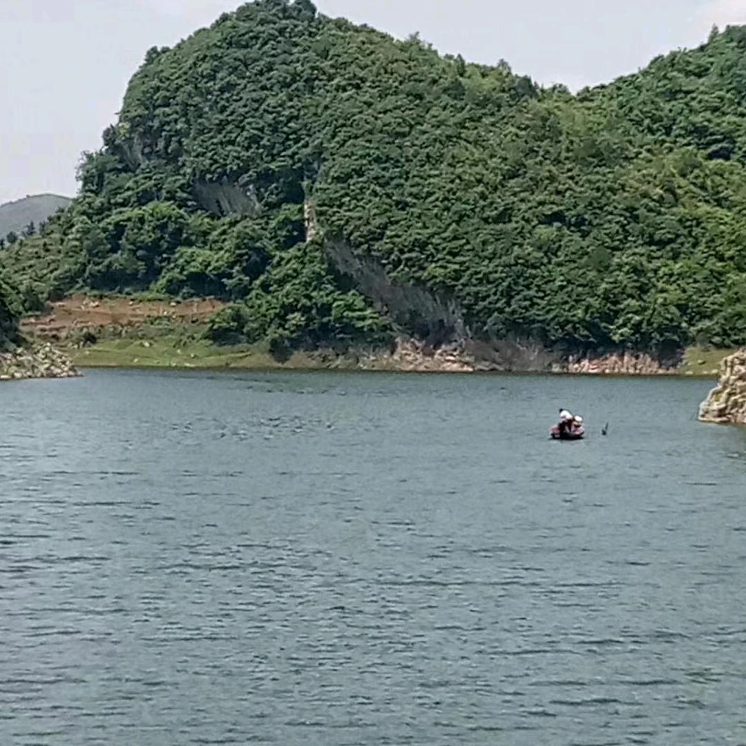 欢欢姐
