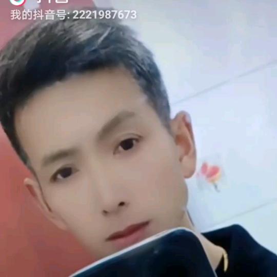 大雁纷飞