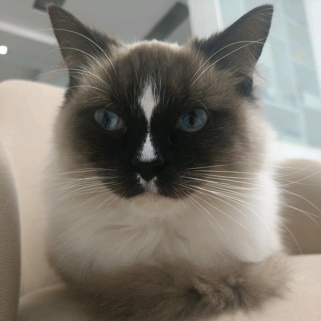 💕憨憨