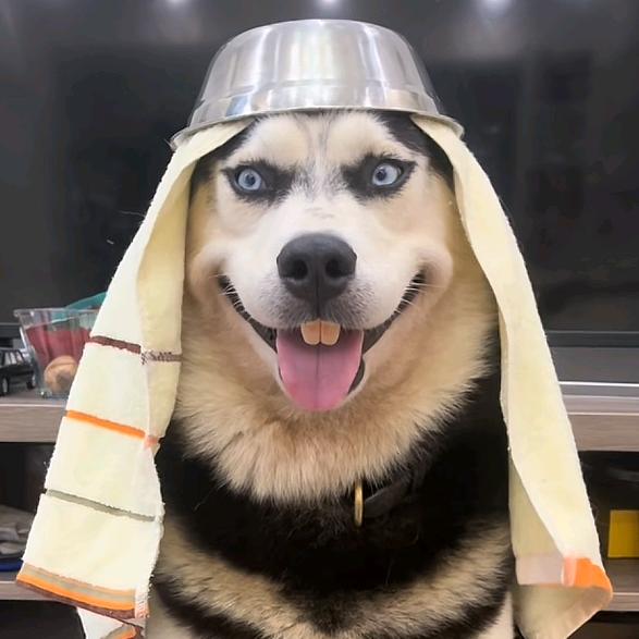 被踹好腿的瘸子