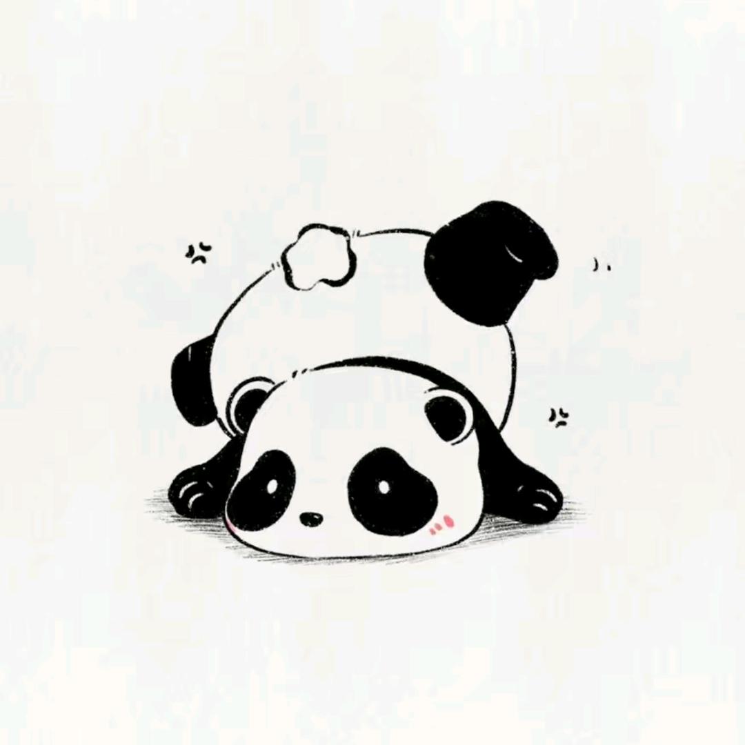 志愿升学规划叶老师