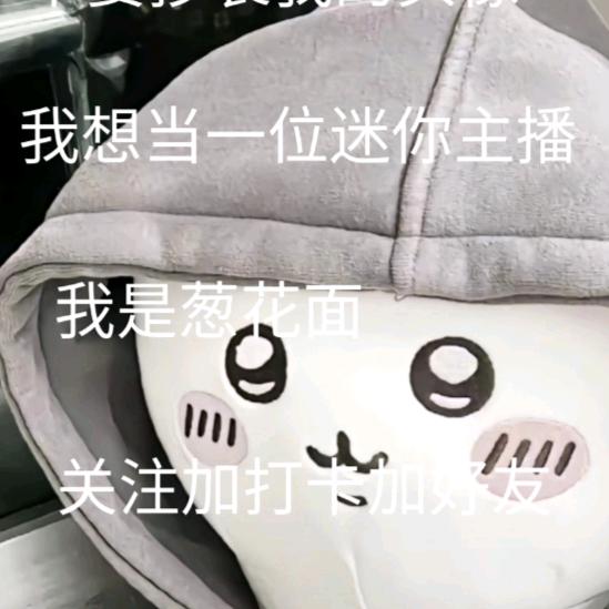 🌷葱花面皖安🦋😴²