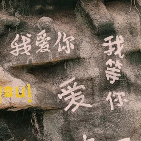 夏邑刘姐家政保洁