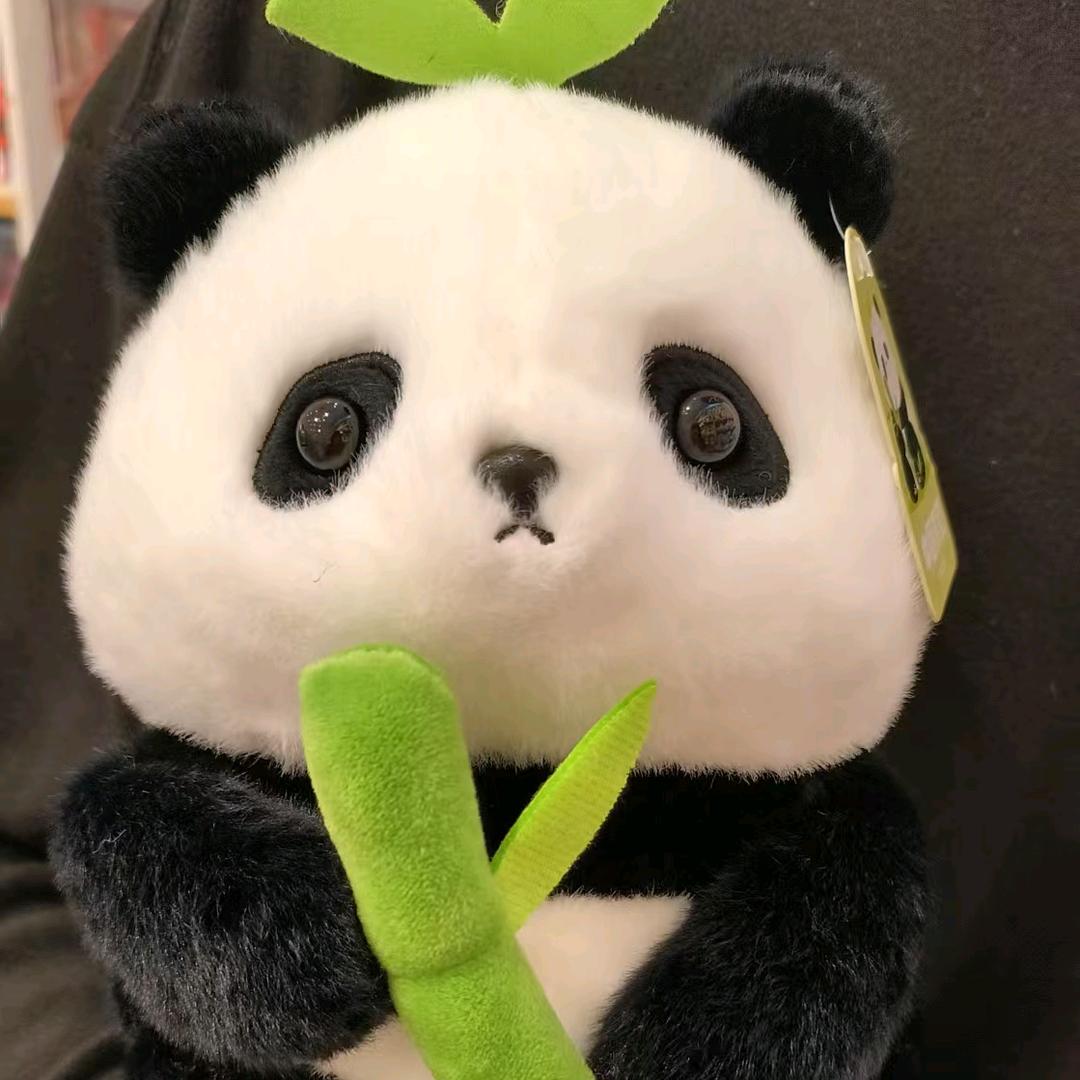 七安i
