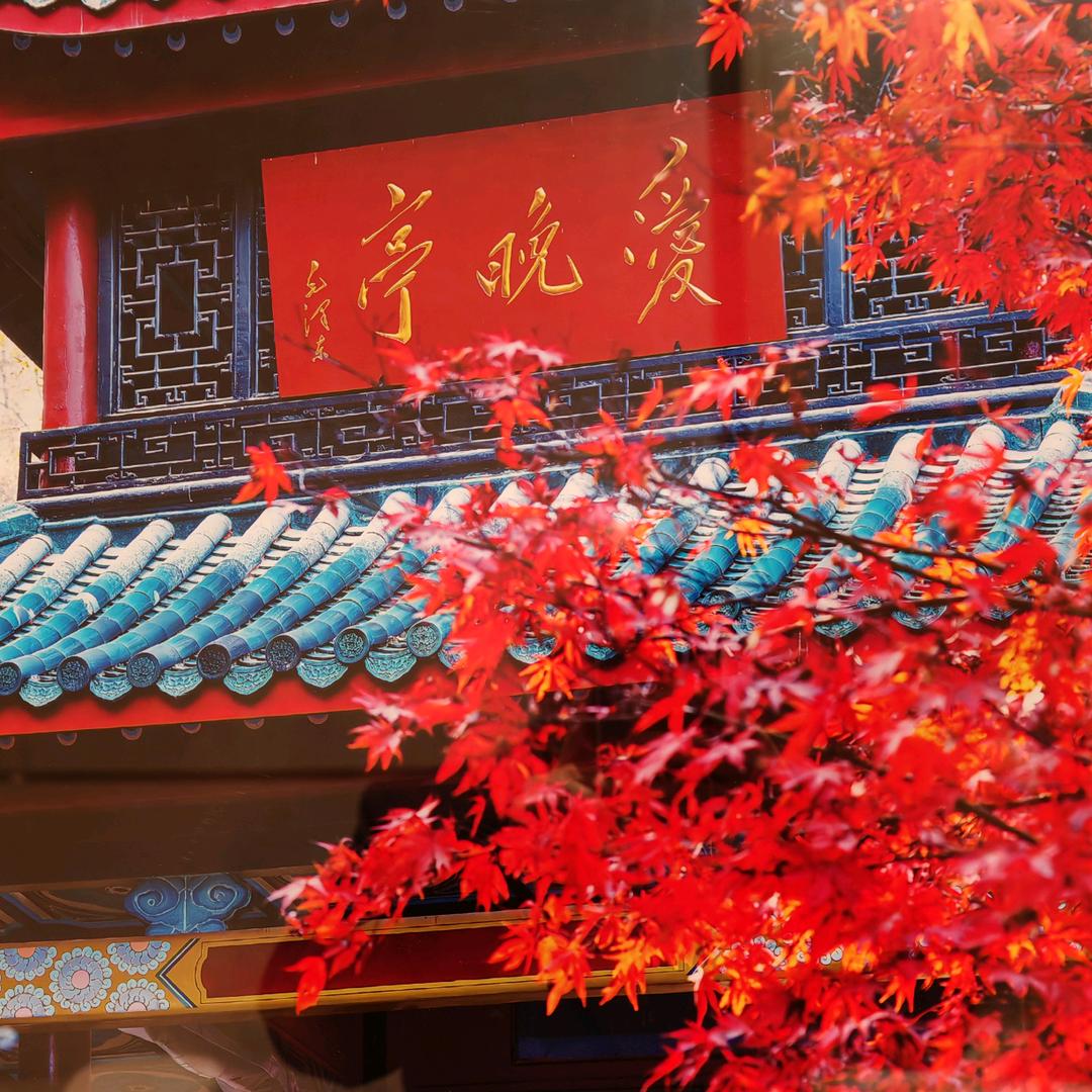 特😇仑🙌苏🌧纯纯的🍷