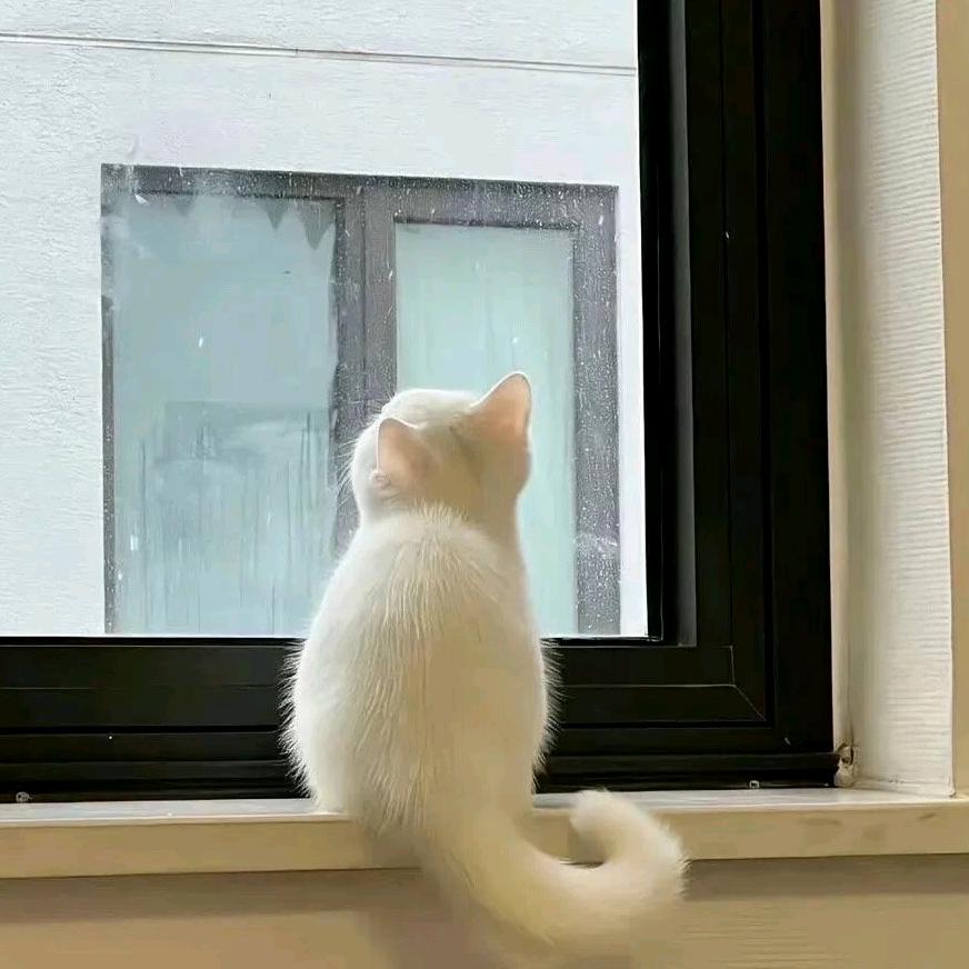 冰冰凉凉