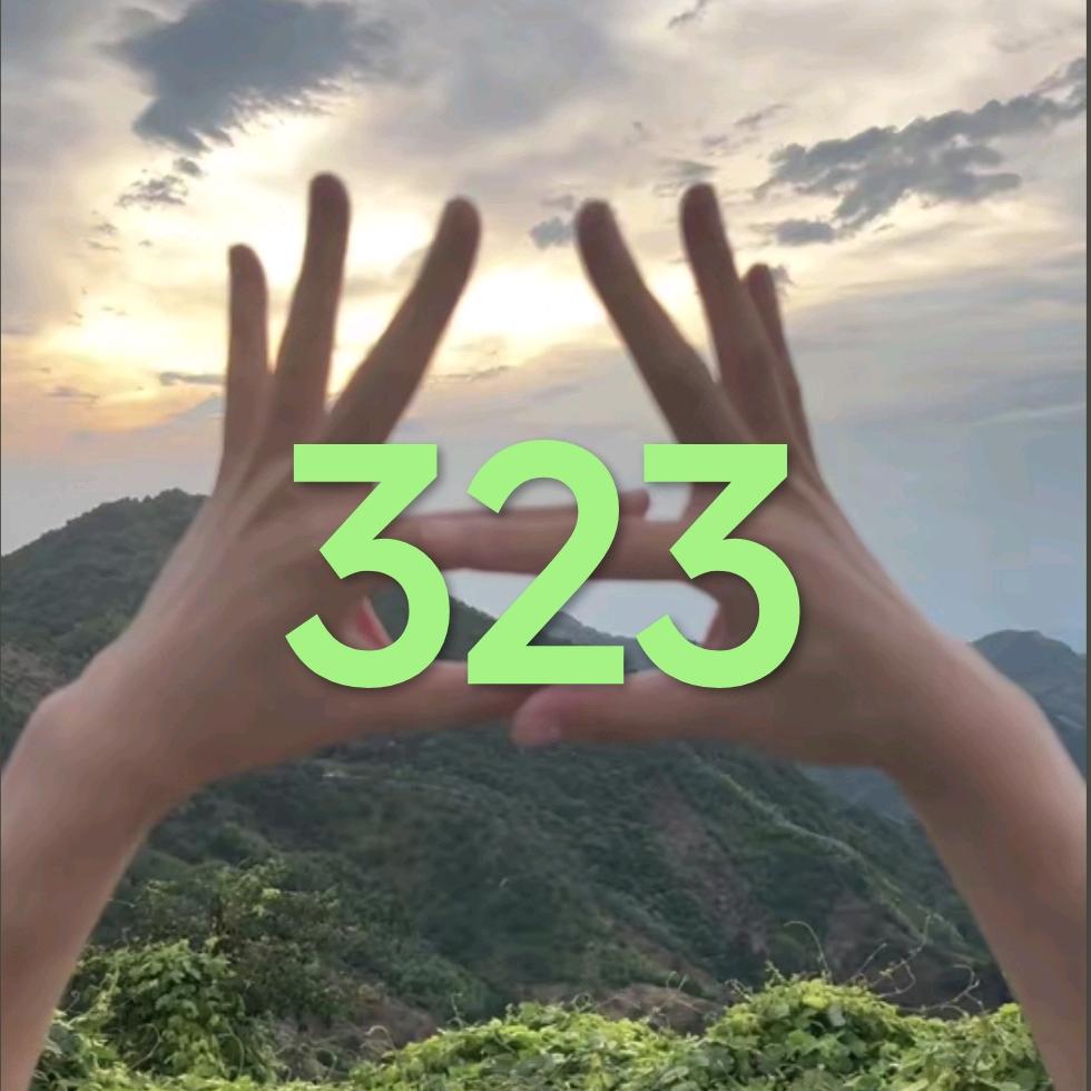 YZ是我爱播😡（323）